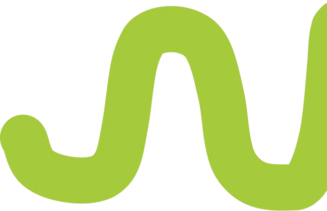 Doodle Curve Decoration